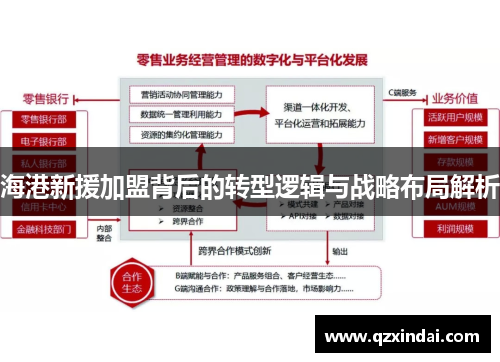 海港新援加盟背后的转型逻辑与战略布局解析