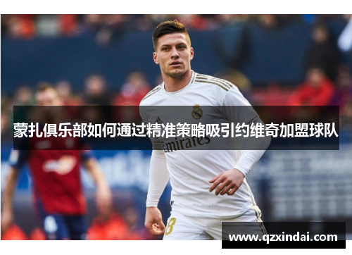 蒙扎俱乐部如何通过精准策略吸引约维奇加盟球队 蒙扎俱乐部如何通过精准策略吸引约维奇加盟球队