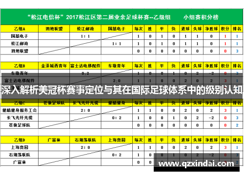 深入解析美冠杯赛事定位与其在国际足球体系中的级别认知